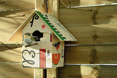 Cabane Oiseaux en Bois A Construire, Maison Oiseaux Exterieur Bois